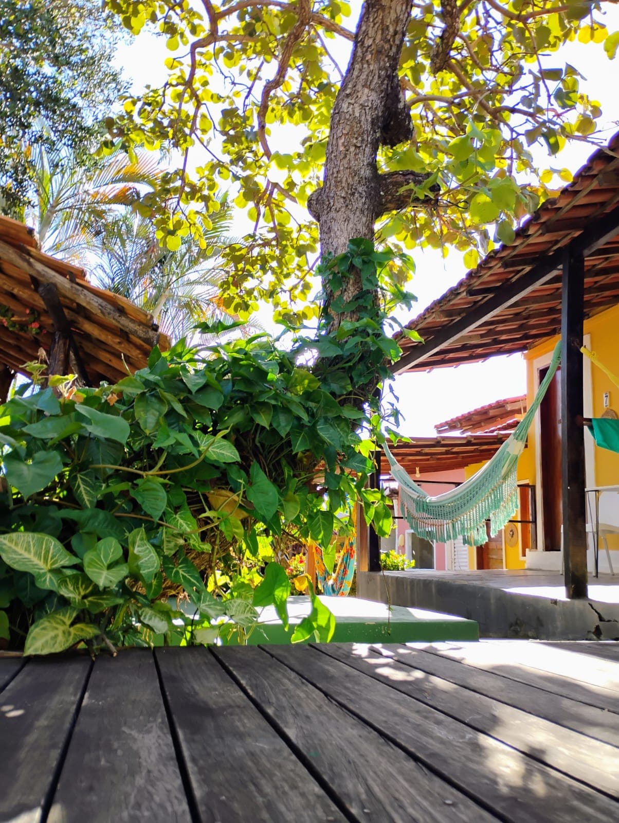 Foto da pousada número 17